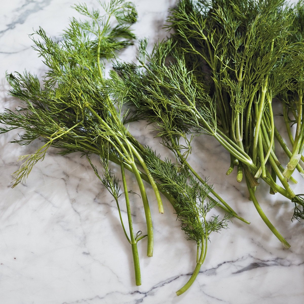 Gardeners Hand Cream - 250ml