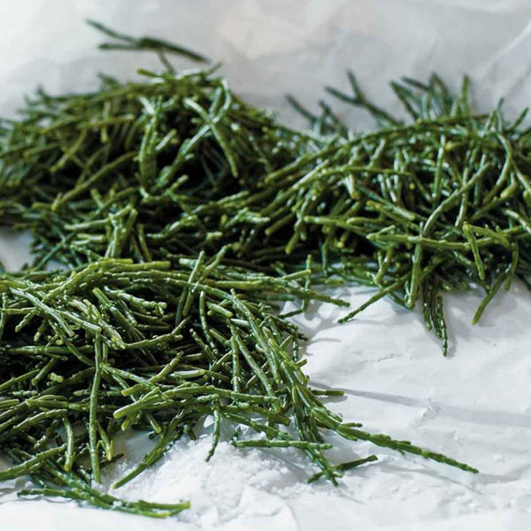 Cult Collection-La Source Body Lotion - 250ml