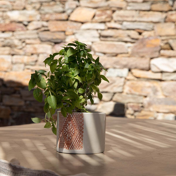 [Buy 1 Free 1] Ceramic Herb Planter - Terracotta